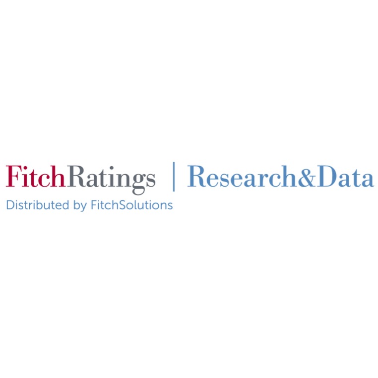 Supervision, Risks & Profitability Fitch Ratings Logo