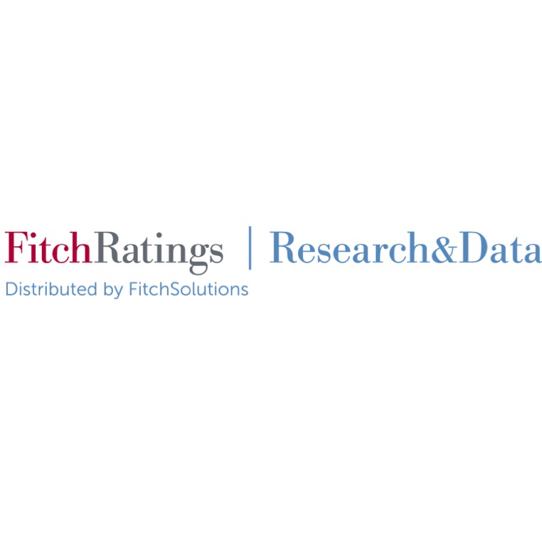 Fitch Ratings - Supervision, Risks & Profitability