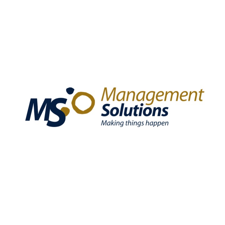 Supervision, Risks & Profitability MANAGEMENT SOLUTIONS  Logo