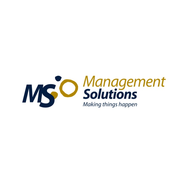Supervision, Risks & Profitability MANAGEMENT SOLUTIONS Logo